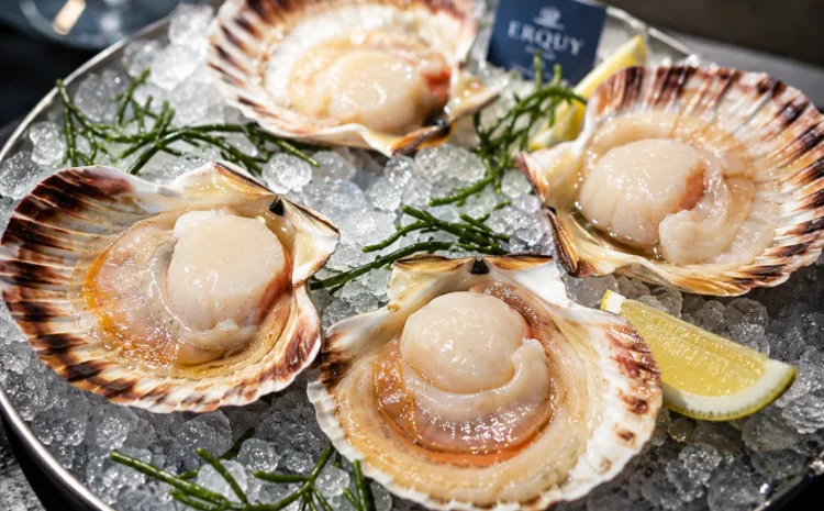  Discover How Ambiance Shapes the Perfect Dining Experience.
